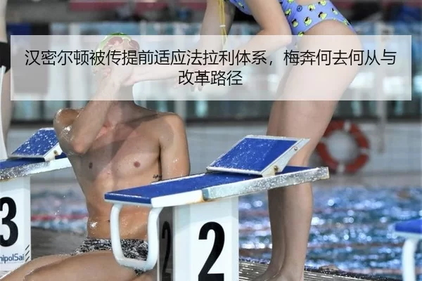 han-mi-er-dun-bei-chuan-ti-qian-shi-ying-fa-la-li-ti-xi-mei-ben-he-qu-he-cong-yu-gai-ge-lu-jing-2-203.jpg